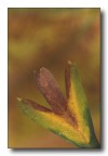l'autunno ci accoglie