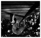 ::: TENTARE L'IMPOSSIBILE ::: ::: TENTARE L'IMPOSSIBILE :::