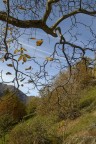 Autunno