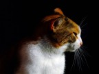 Hai finito di fotografarmi!? Hai finito di fotografarmi!?