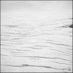 il Grande Bianco il Grande Bianco