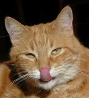 Mario goloso Mario goloso