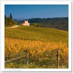 Chianti Shire Chianti Shire