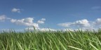 Verde e Azzurro Verde e Azzurro