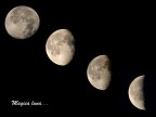 Magica luna... Magica luna...