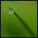 sguardo verso il cielo sguardo verso il cielo