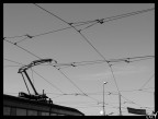 Tram Lines Tram Lines