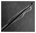 ::: SEMPLICEMENTE AGO E FILO ::: ::: SEMPLICEMENTE AGO E FILO :::