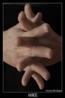 Hands Hands