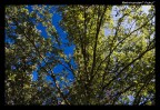 Il Cielo, diviso Il Cielo, diviso