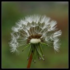 leggerezza leggerezza