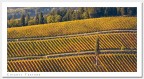 Chianti Texture Chianti Texture