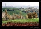 PAESAGGIO AUTUNNALE PAESAGGIO AUTUNNALE