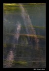 Sile Riflessi Sile Riflessi