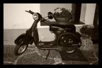 Una Vespa tra i fiori... Una Vespa tra i fiori...