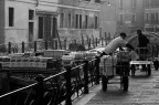 lavorare a venezia lavorare a venezia