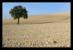 Tra cielo e terra Tra cielo e terra