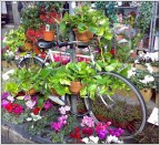 Mobilità stostenibile Mobilità stostenibile