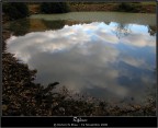 Riflesso Riflesso