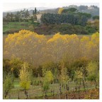 Autunno 1 Autunno 1
