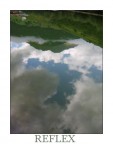 Reflex Reflex