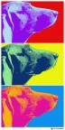 Umba's Pop Art (Omaggio a Andy Warhol) Umba's Pop Art (Omaggio a Andy Warhol)