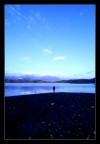 THE MAN AND THE LAKE THE MAN AND THE LAKE