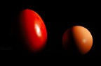 Uovo e Pomodoro Uovo e Pomodoro