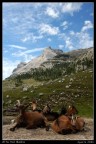 SULLE DOLOMITI SULLE DOLOMITI