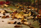 Autunno a due passi Autunno a due passi