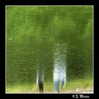 Acquerello Acquerello