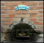 Per il miglior amico dell'uomo Per il miglior amico dell'uomo