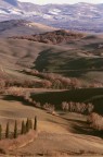 Val d' Orcia, vicino S. Quirico Val d' Orcia, vicino S. Quirico