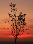 l'ultimo scatto della sera a Sermoneta (LT), rubando il controluce al tramonto...