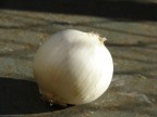 La base della cucina La base della cucina