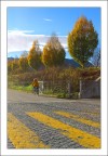 giallo giallo