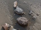rocks? rocks?