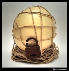 waiting for its birth! waiting for its birth!