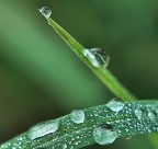 lezione di geometria! lezione di geometria!