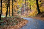autunno autunno