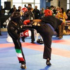 Mawashigeri Mawashigeri