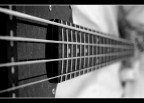 Basso #3 Basso #3