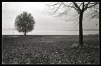 lago abbandonato 4 lago abbandonato 4
