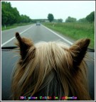 scuola guida scuola guida