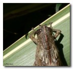 sotto il baratro sotto il baratro