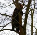 da qui si vede meglio... da qui si vede meglio...