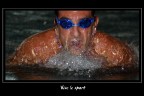 Vive le Sport Vive le Sport