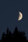 sorge la luna sorge la luna
