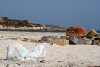 Povera natura Povera natura
