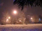 nevicata notturna nevicata notturna